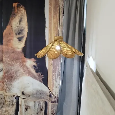 Πανσιόν El Cielo De 4*