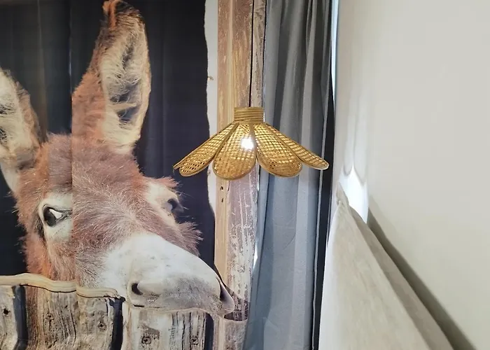 게스트하우스 El Cielo De 4*