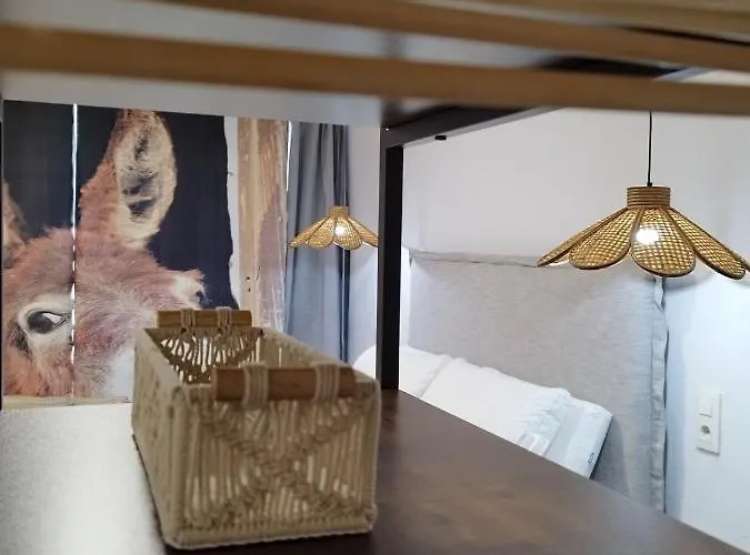 El Cielo De 게스트하우스 4*